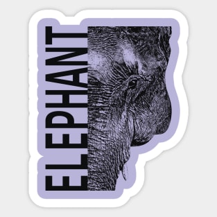 Elephant Sticker